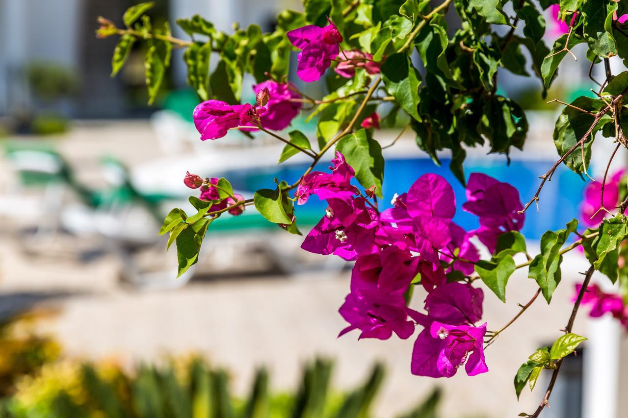 Kalina Hotel Datça Eksteriør bilde